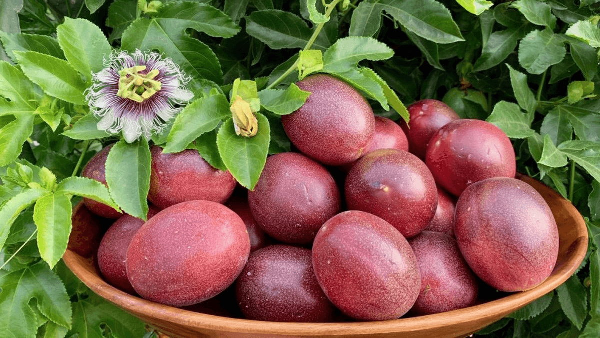 Fresh Passion Fruit