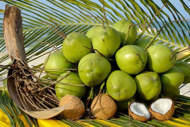 Coconut factory