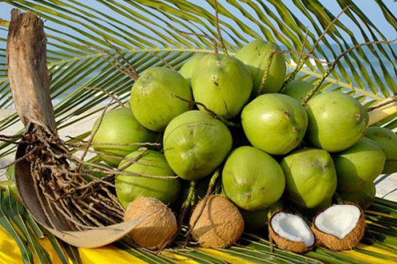 Fresh Coconut